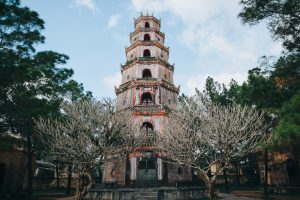 Premium Vietnam Discovery