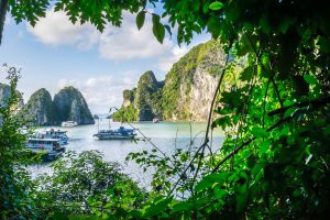 Vietnam Highlights – 12 Days