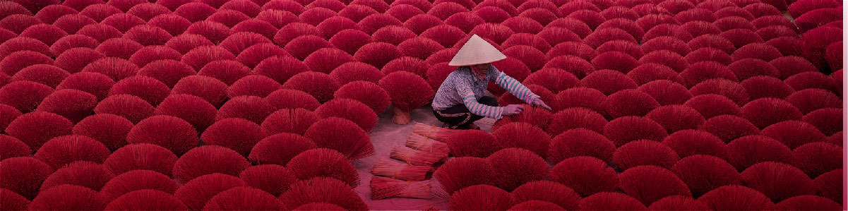 CULINARY AND CRAFT SECRETS OF VIETNAM